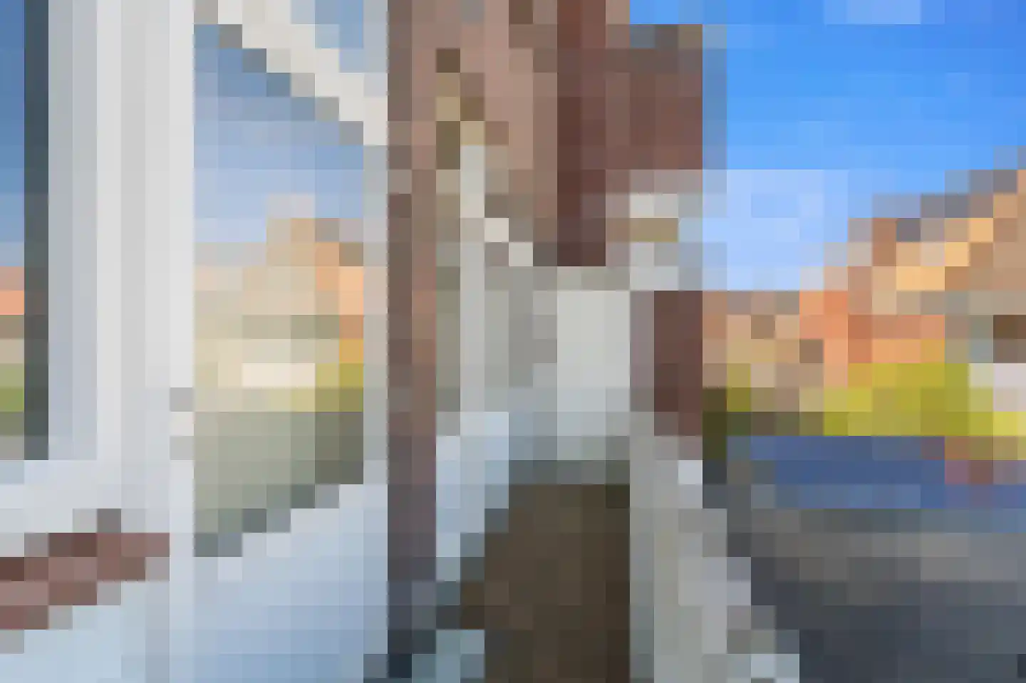 Appelstraat 98 Den Haag thumbnail 16