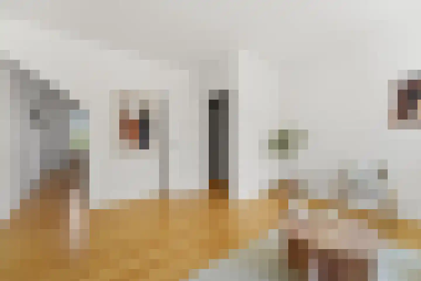 Appelstraat 98 Den Haag thumbnail 8