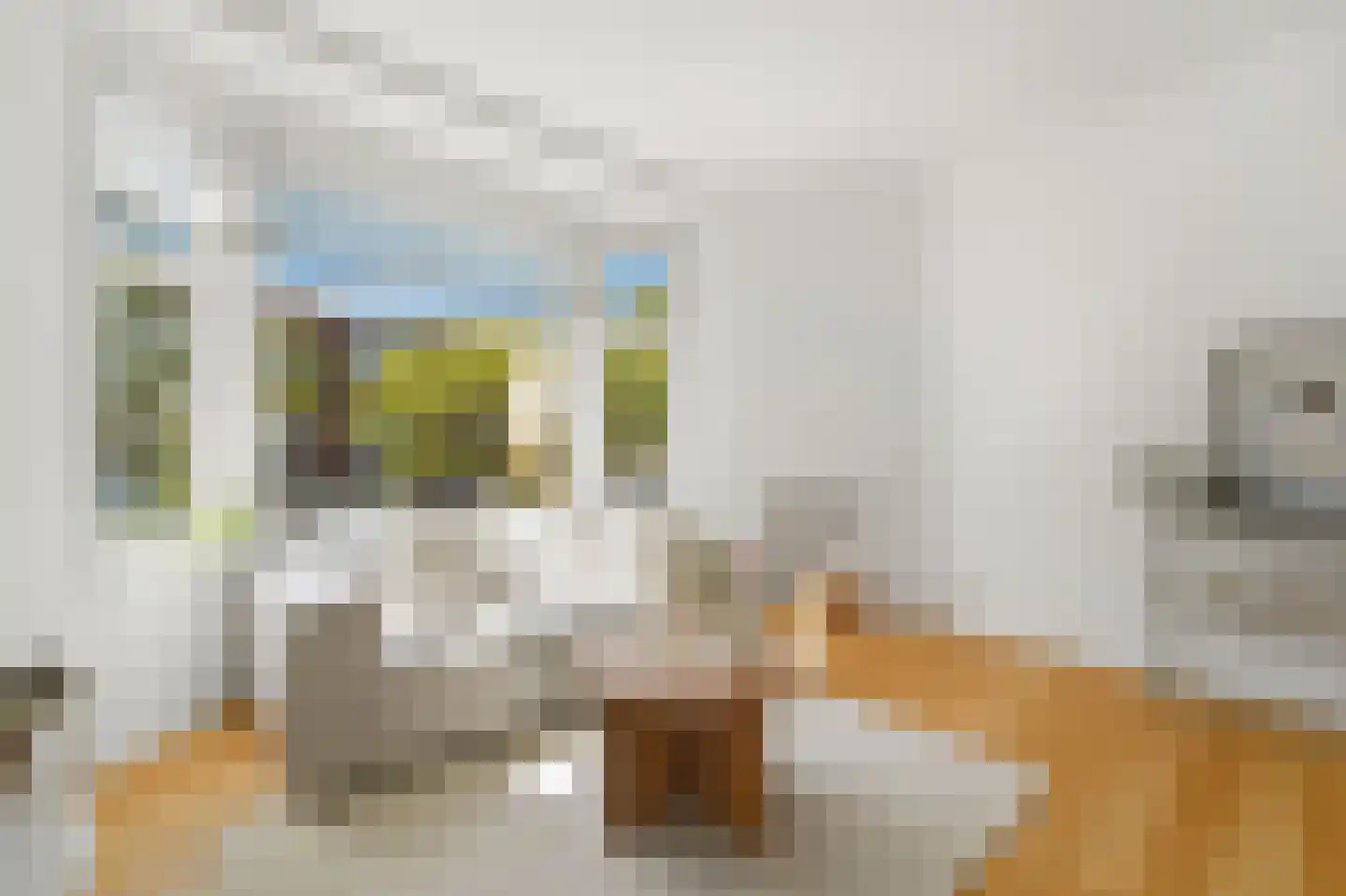 Appelstraat 98 Den Haag thumbnail 9