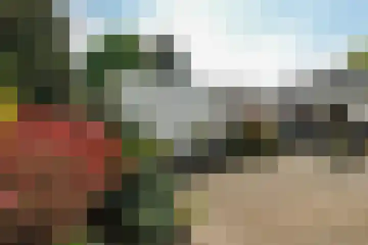 Appelternhof 27 Malden thumbnail 27