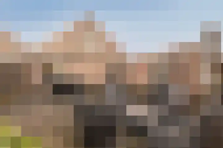 Appelternhof 5 Malden thumbnail 32