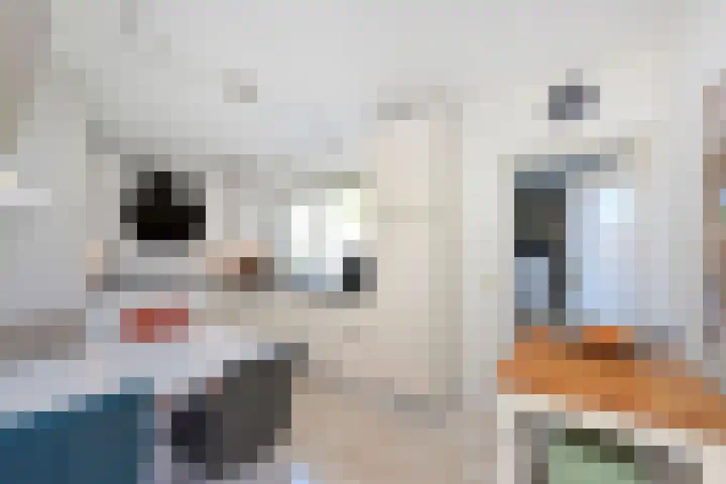 Appelternhof 7 Malden thumbnail 13