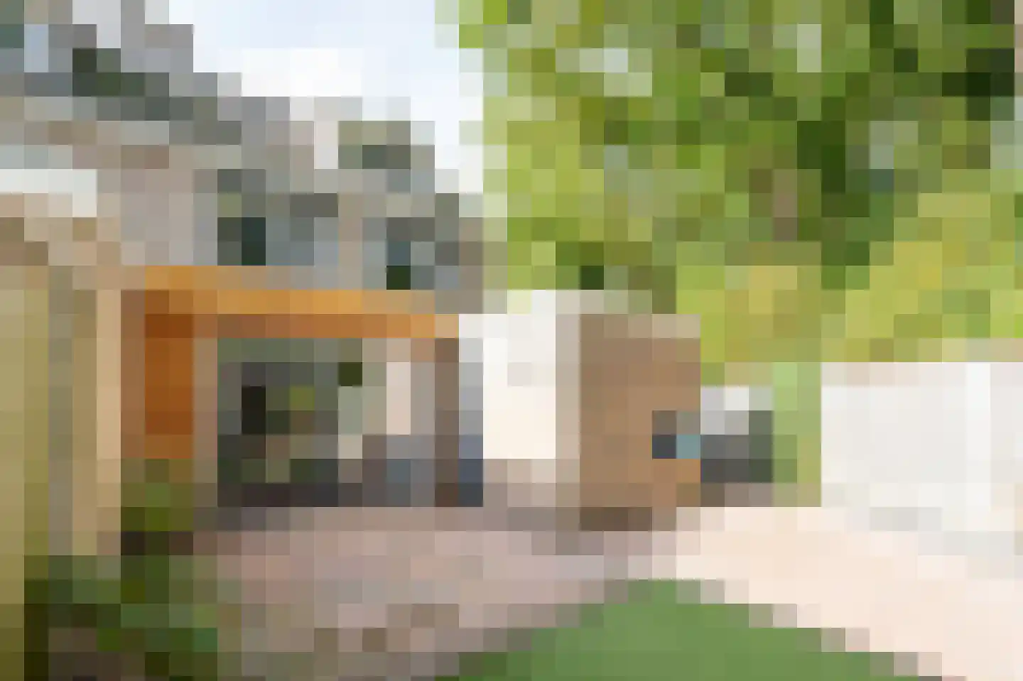 Appelvink 22 Emmen thumbnail 30
