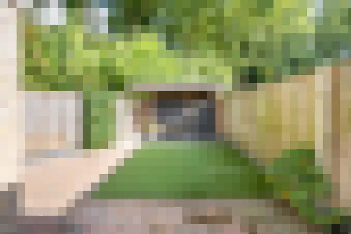 Appelvink 22 Emmen thumbnail 32