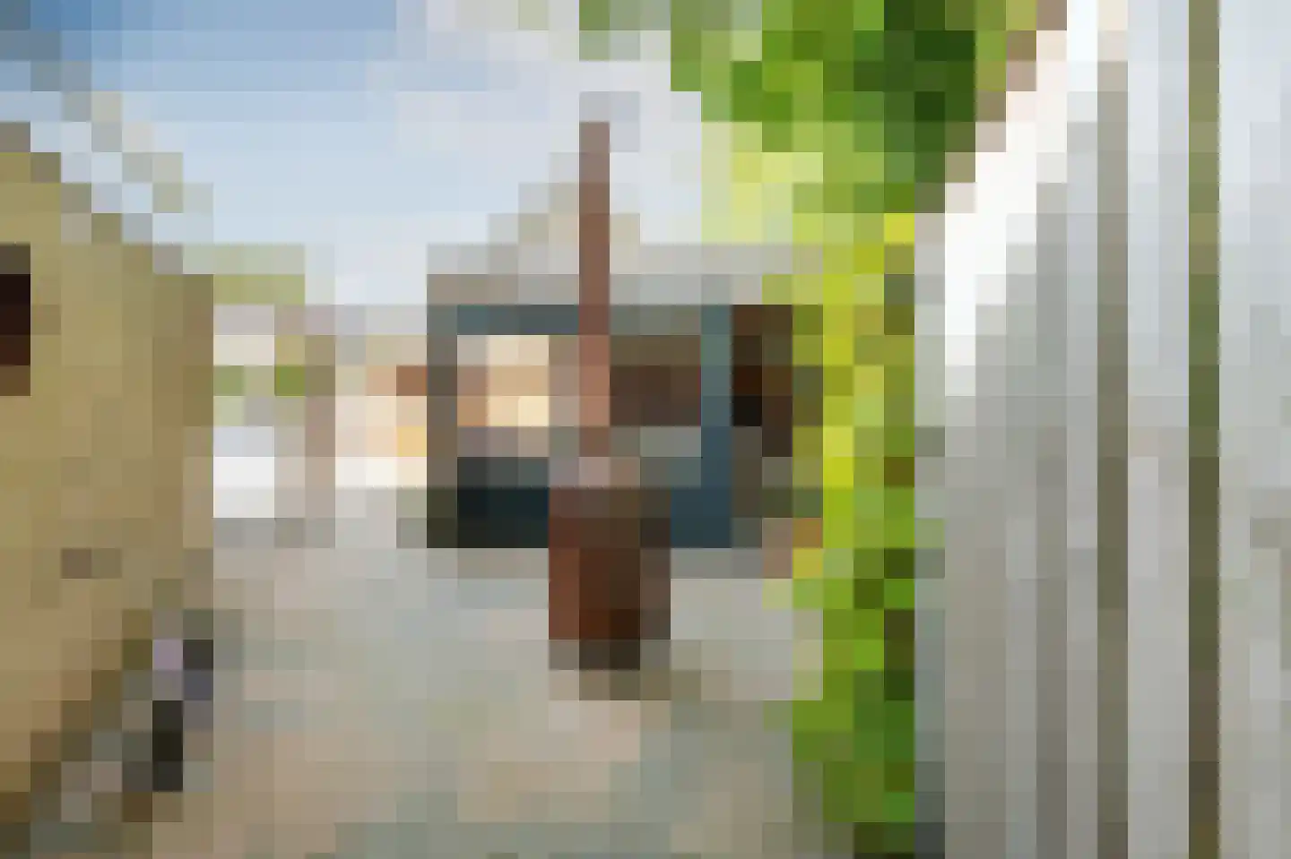 Appelvink 22 Emmen thumbnail 33
