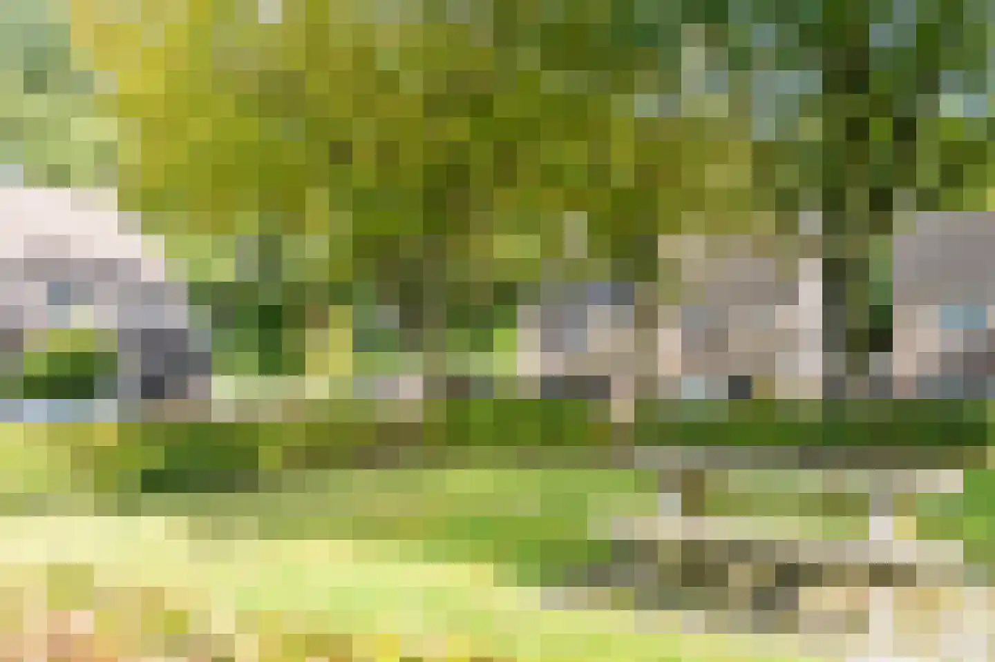 Appelvink 22 Emmen thumbnail 38