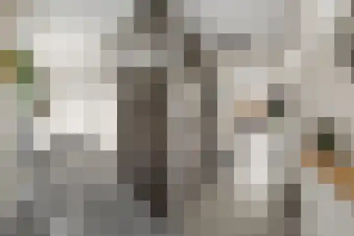 Appelvink 34 Nieuwegein thumbnail 6