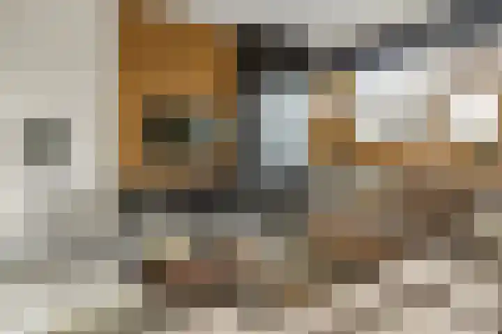 Appelvink 34 Nieuwegein thumbnail 8