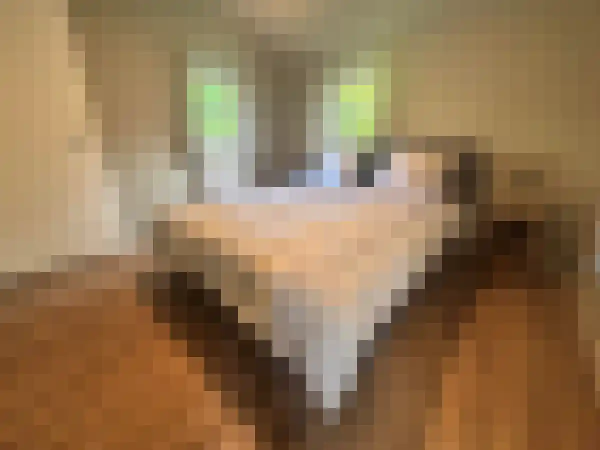Appelvink 64 Hooge Mierde thumbnail 4