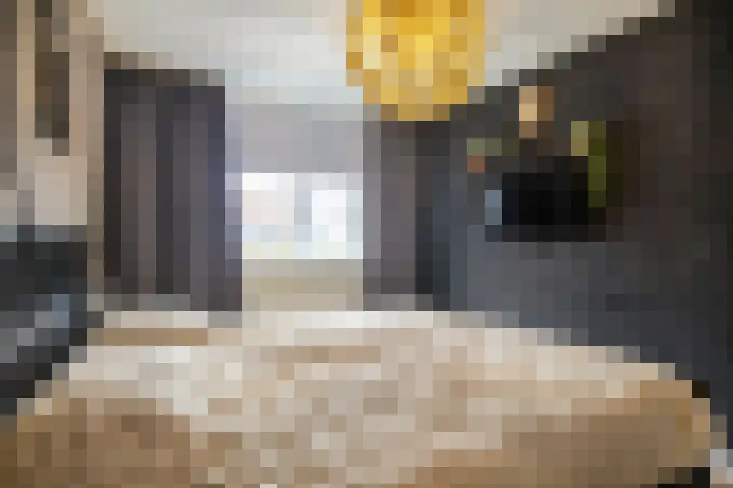 Appelvink 7 Veenendaal thumbnail 19