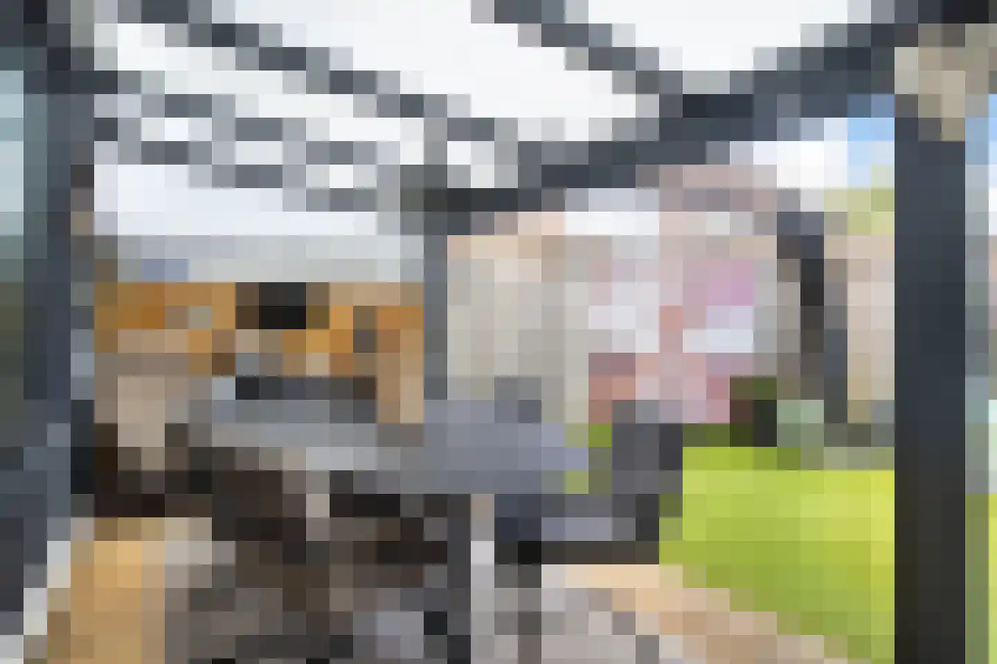 Appelvink 7 Veenendaal thumbnail 34