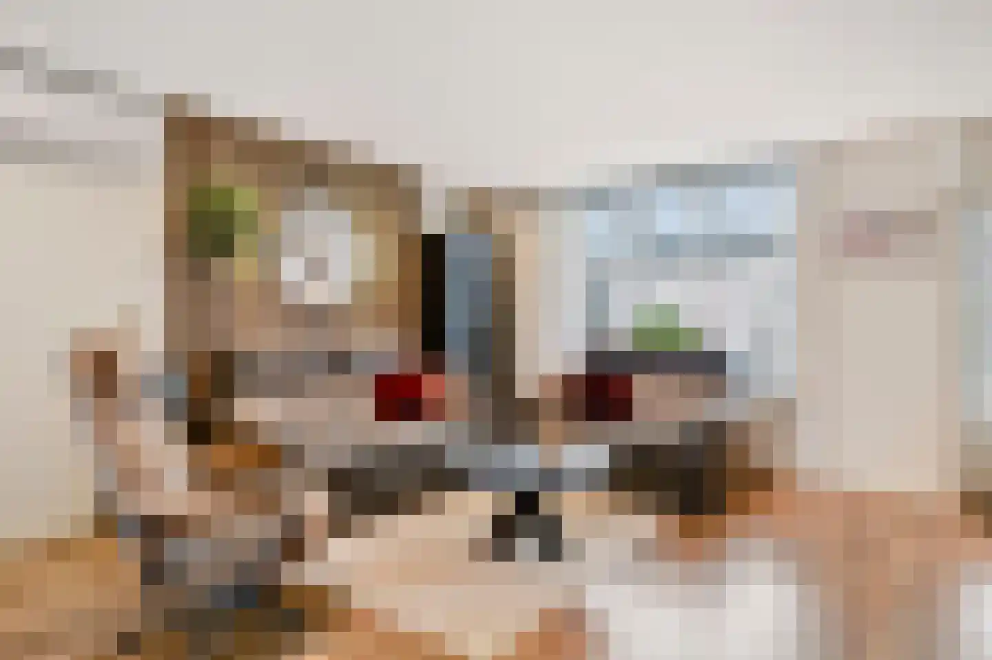 Appelvink 7 Veenendaal thumbnail 4