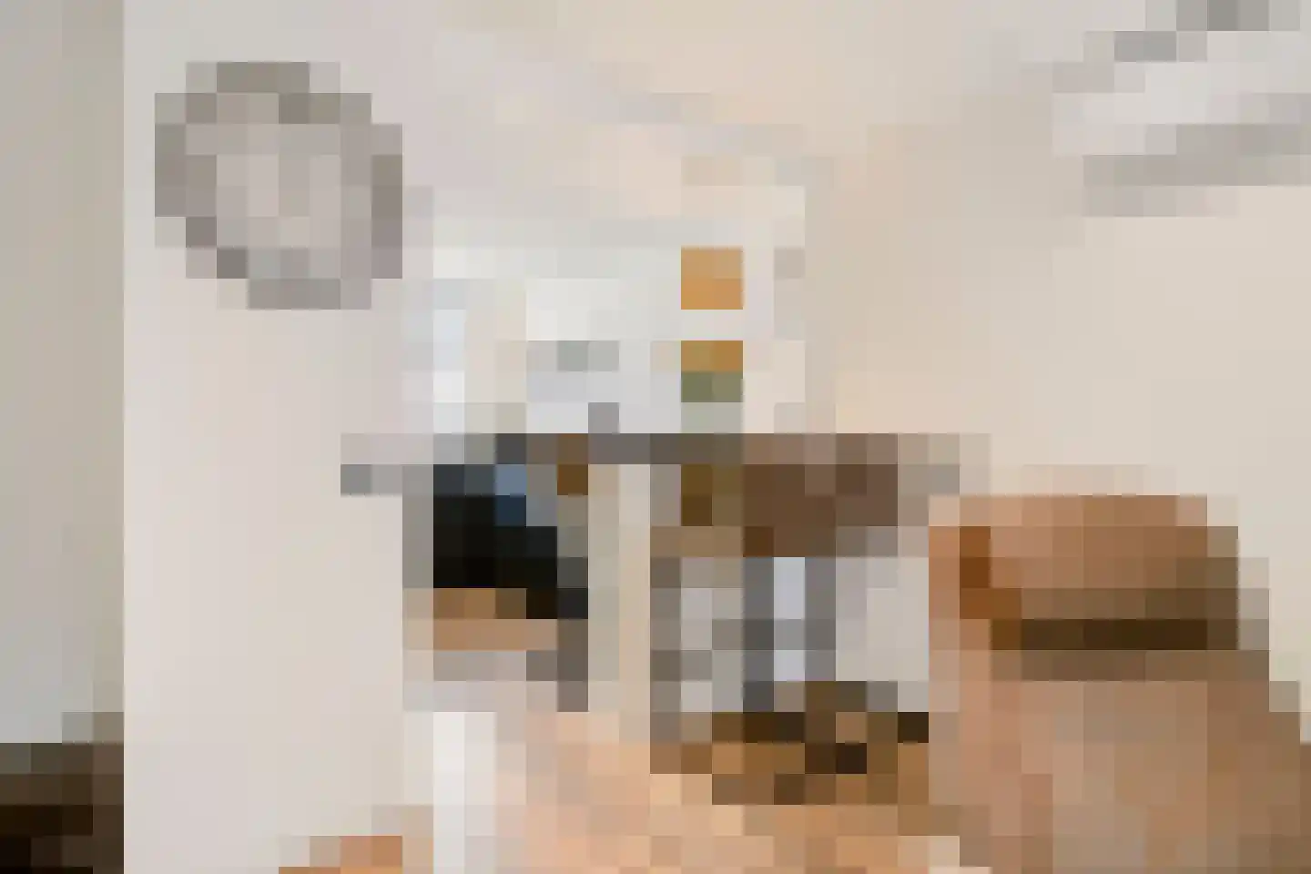 Appelvink 7 Veenendaal thumbnail 9