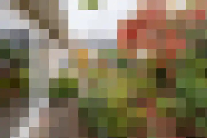 Appelvinklaan 17 Maarn thumbnail 33
