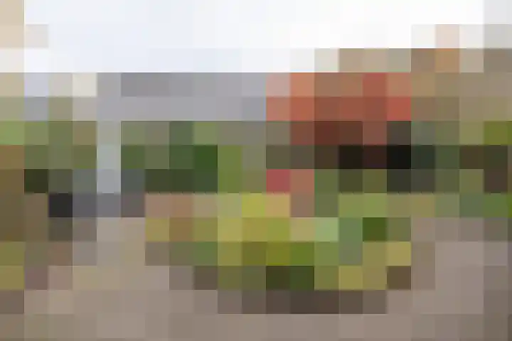 Appelvinklaan 17 Maarn thumbnail 34
