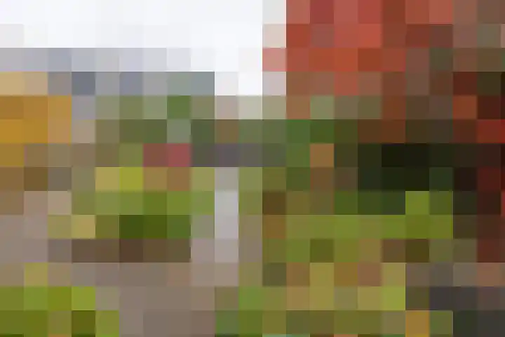 Appelvinklaan 17 Maarn thumbnail 37