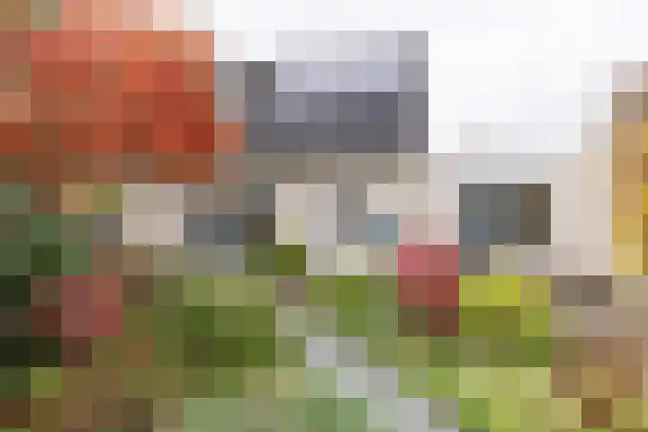 Appelvinklaan 17 Maarn thumbnail 38