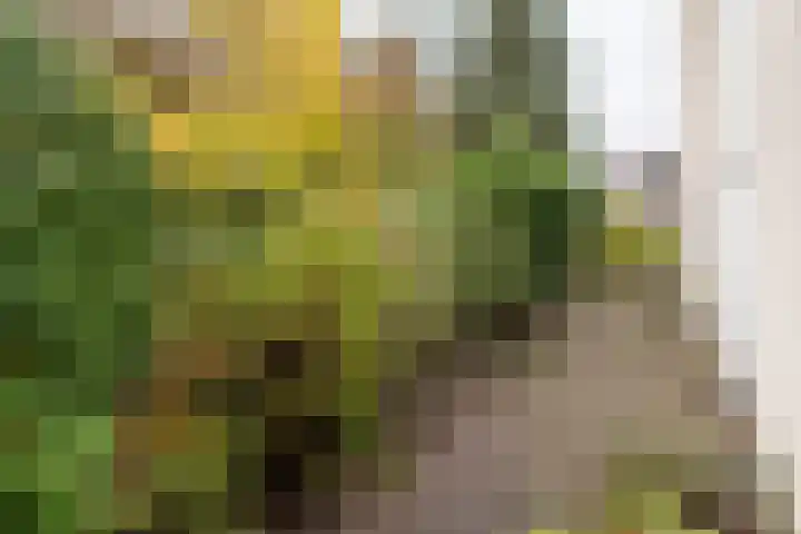 Appelvinklaan 17 Maarn thumbnail 40