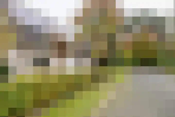 Appelvinklaan 17 Maarn thumbnail 44
