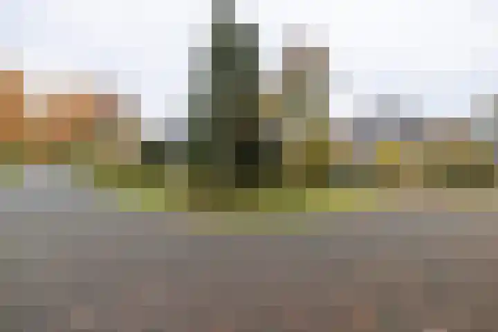 Appelvinklaan 17 Maarn thumbnail 45