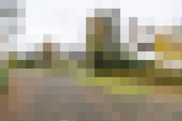 Appelvinklaan 17 Maarn thumbnail 46