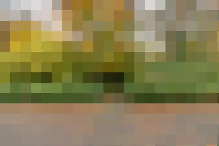 Appelvinklaan 17 Maarn thumbnail 48