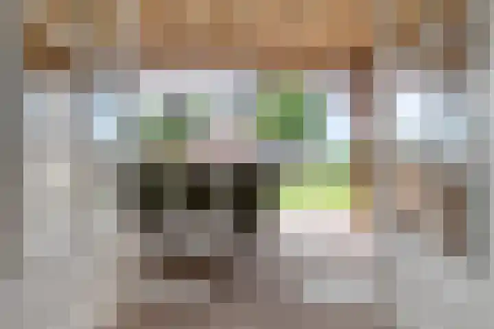 Appelweg 5 Brakel thumbnail 33