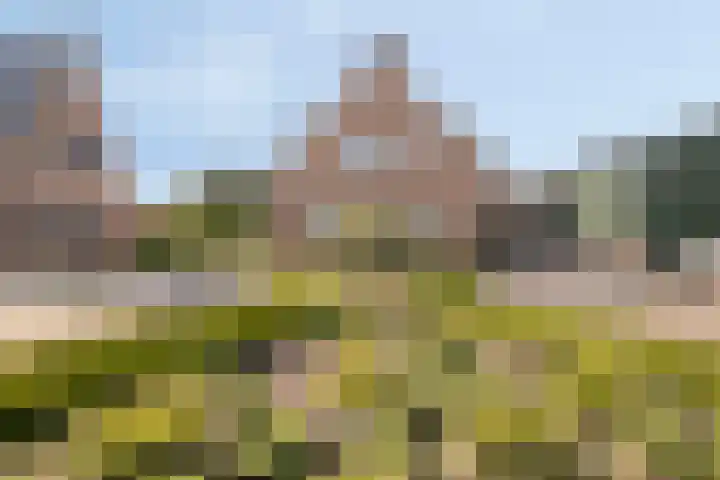 Appelweg 5 Brakel thumbnail 4