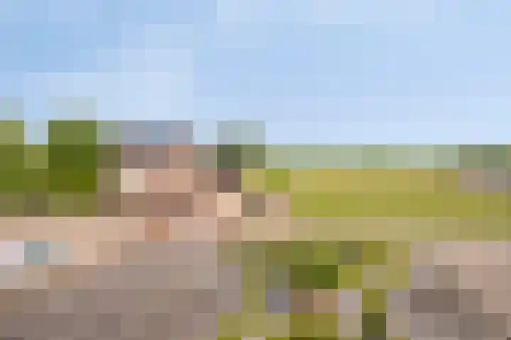 Appelweg 5 Brakel thumbnail 43