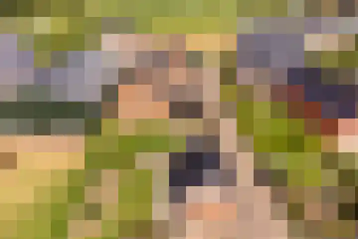 Appelweg 5 Brakel thumbnail 5