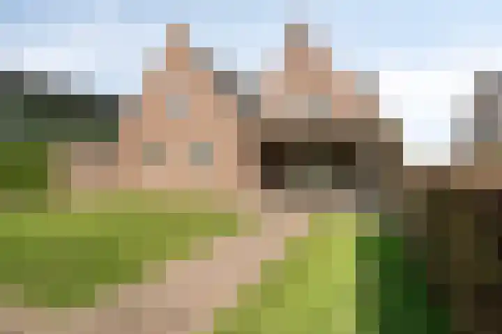 Appelweg 5 Brakel thumbnail 66