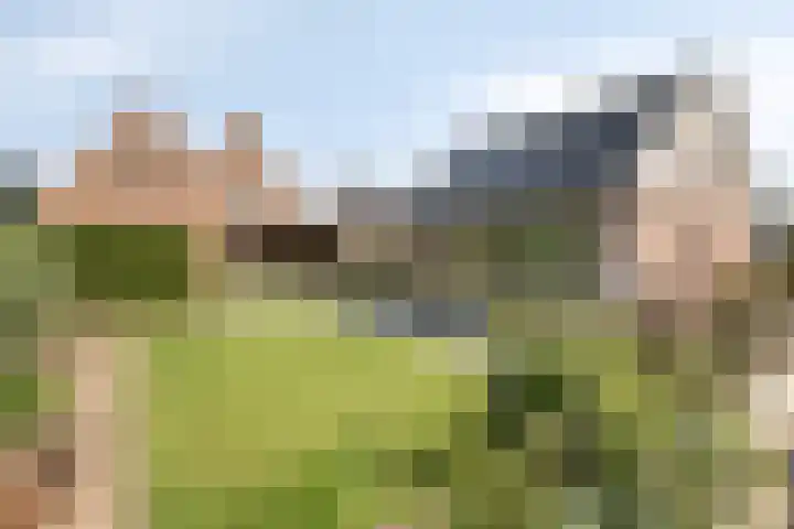Appelweg 5 Brakel thumbnail 68