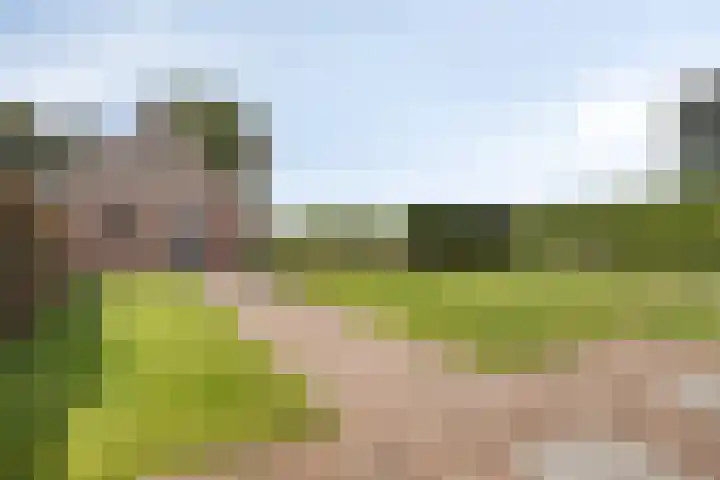 Appelweg 5 Brakel thumbnail 70