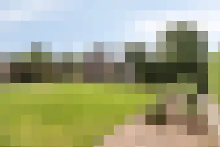 Appelweg 5 Brakel thumbnail 71