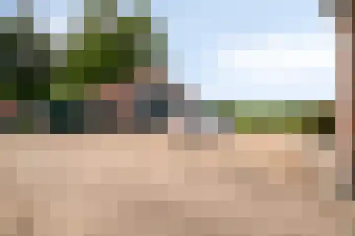 Appelweg 5 Brakel thumbnail 78