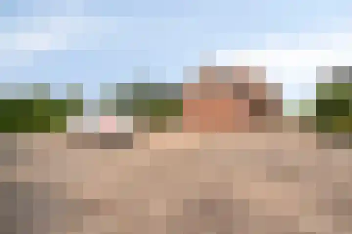 Appelweg 5 Brakel thumbnail 81