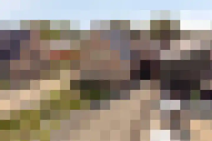 Appelweg 5 Brakel thumbnail 86