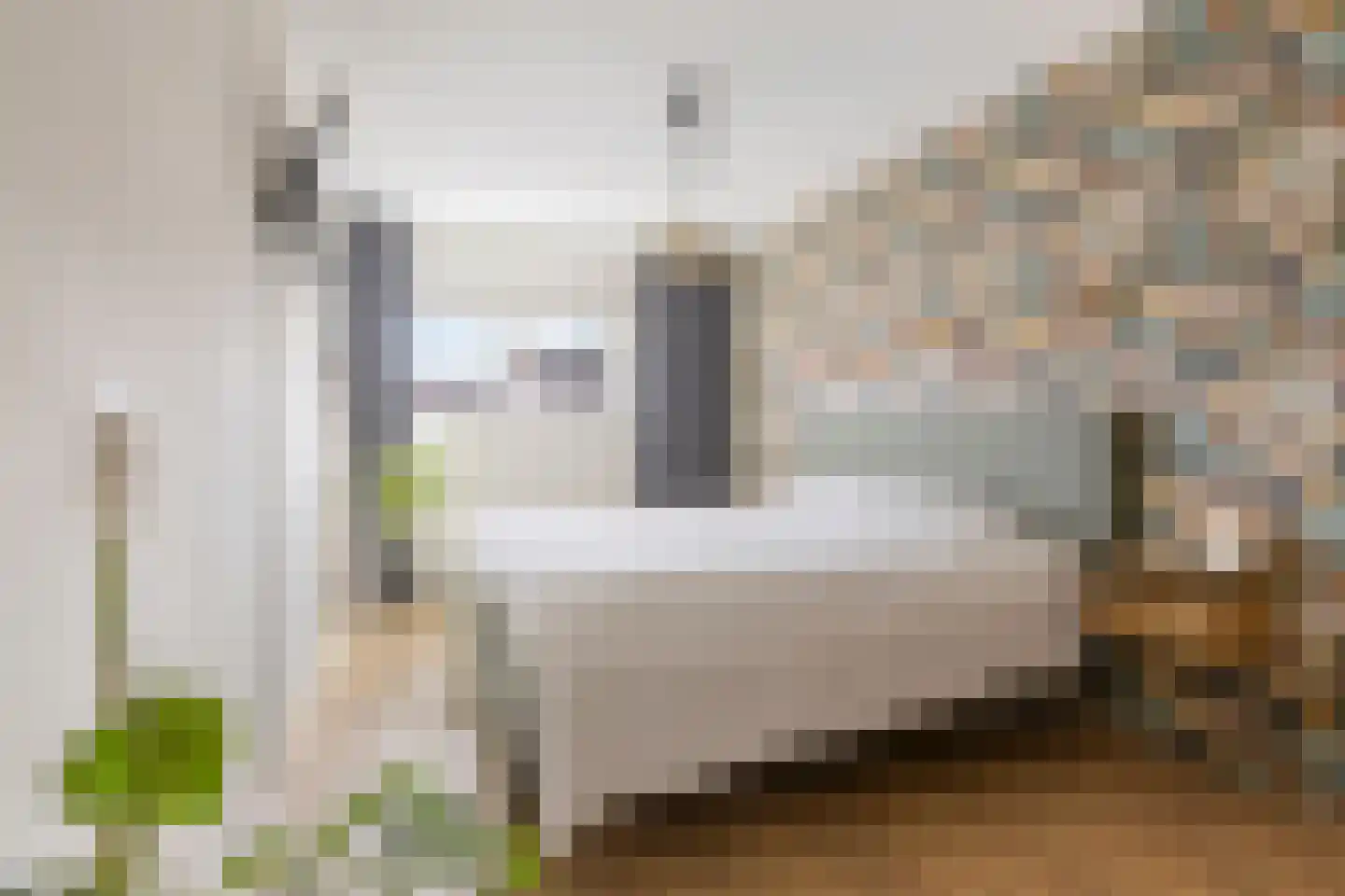 Appie Groenlaan 37 Groningen thumbnail 26