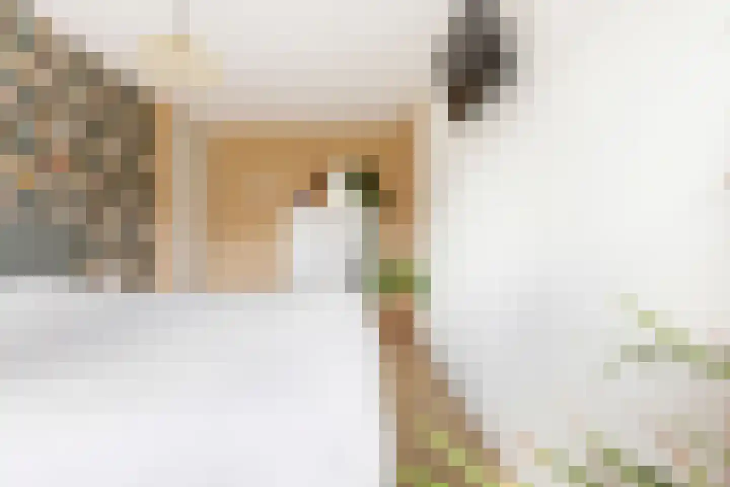 Appie Groenlaan 37 Groningen thumbnail 27