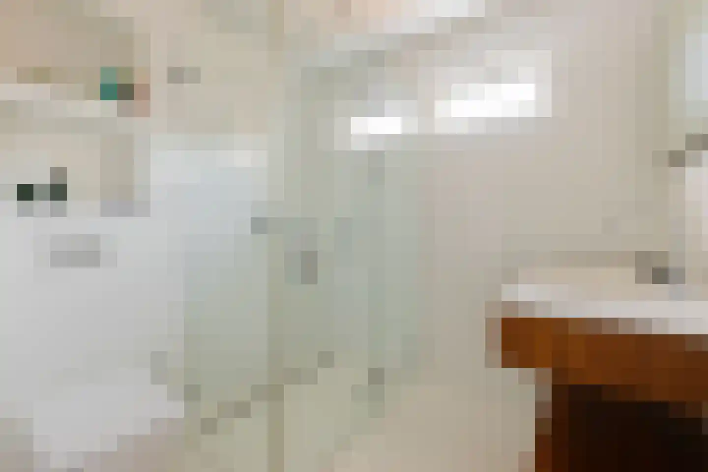 Appie Groenlaan 45 Groningen thumbnail 28