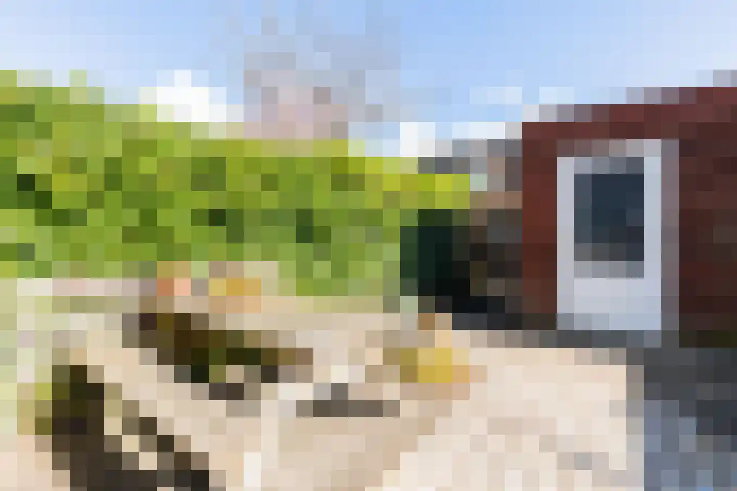 Appie Groenlaan 45 Groningen thumbnail 38