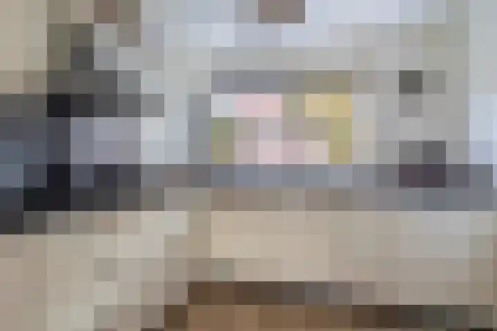 Appie Groenlaan 53 Groningen thumbnail 14
