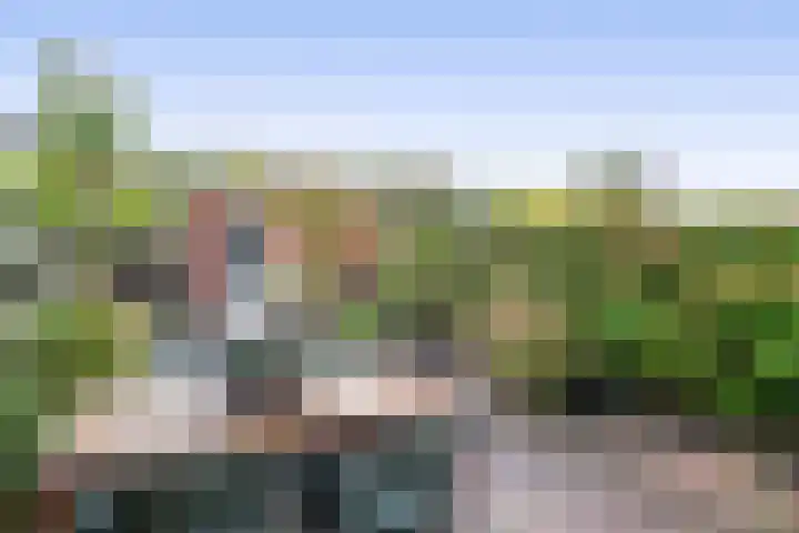 Appie Groenlaan 53 Groningen thumbnail 19