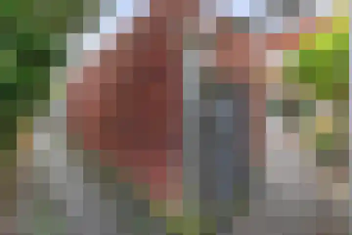 Appie Groenlaan 53 Groningen thumbnail 21