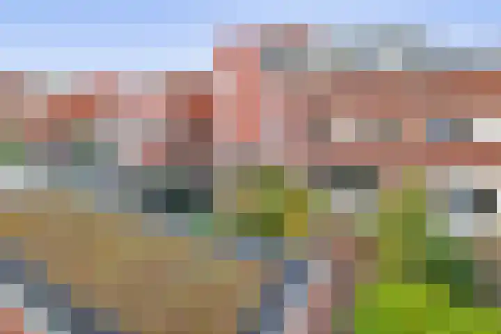 Appie Groenlaan 53 Groningen thumbnail 22