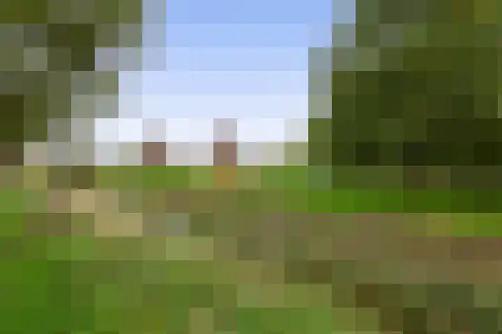 Appie Groenlaan 53 Groningen thumbnail 39