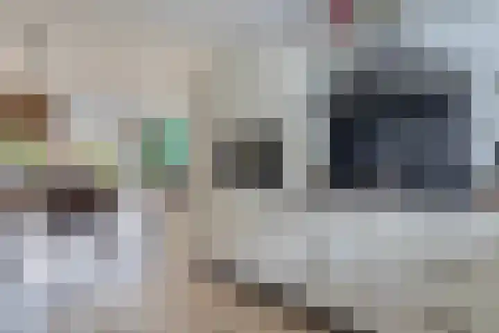Appie Groenlaan 53 Groningen thumbnail 4