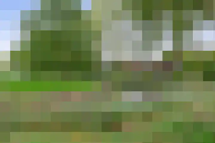 Appie Groenlaan 53 Groningen thumbnail 40