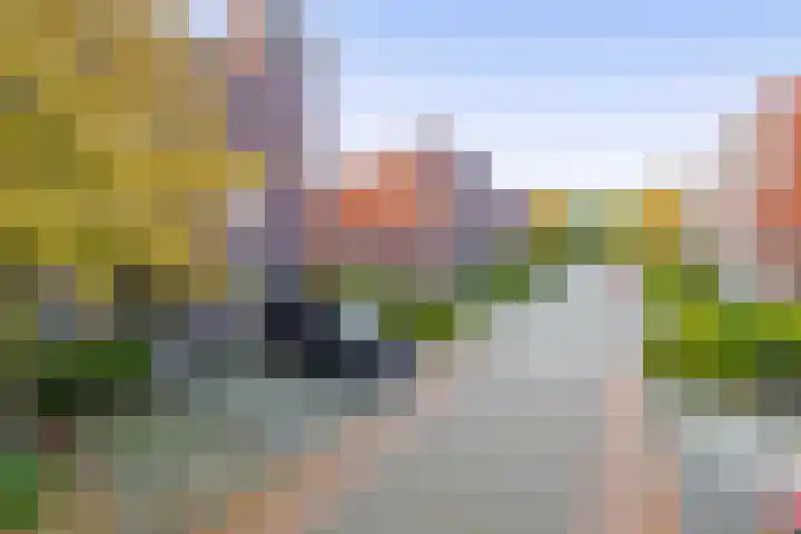Appie Groenlaan 53 Groningen thumbnail 44