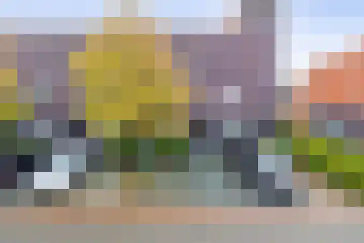 Appie Groenlaan 53 Groningen thumbnail 5